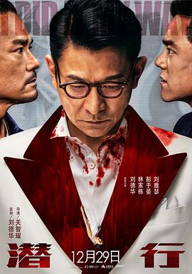 潜行(2023)【正式版】【4K+1080】【动作犯罪】【刘德华林家栋彭于晏刘雅瑟任达华】-电影资源论坛-交流广场-优选资源网_1