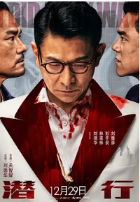 潜行(2023)4K.SDR.国粤双语刘德华/林家栋/彭于晏刘德华16年后再演大反派-电影资源论坛-交流广场-优选资源网_1