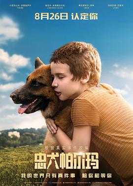 忠犬帕尔玛（2021）1080p【蓝光原盘】内封简中-电影资源论坛-交流广场-优选资源网_1