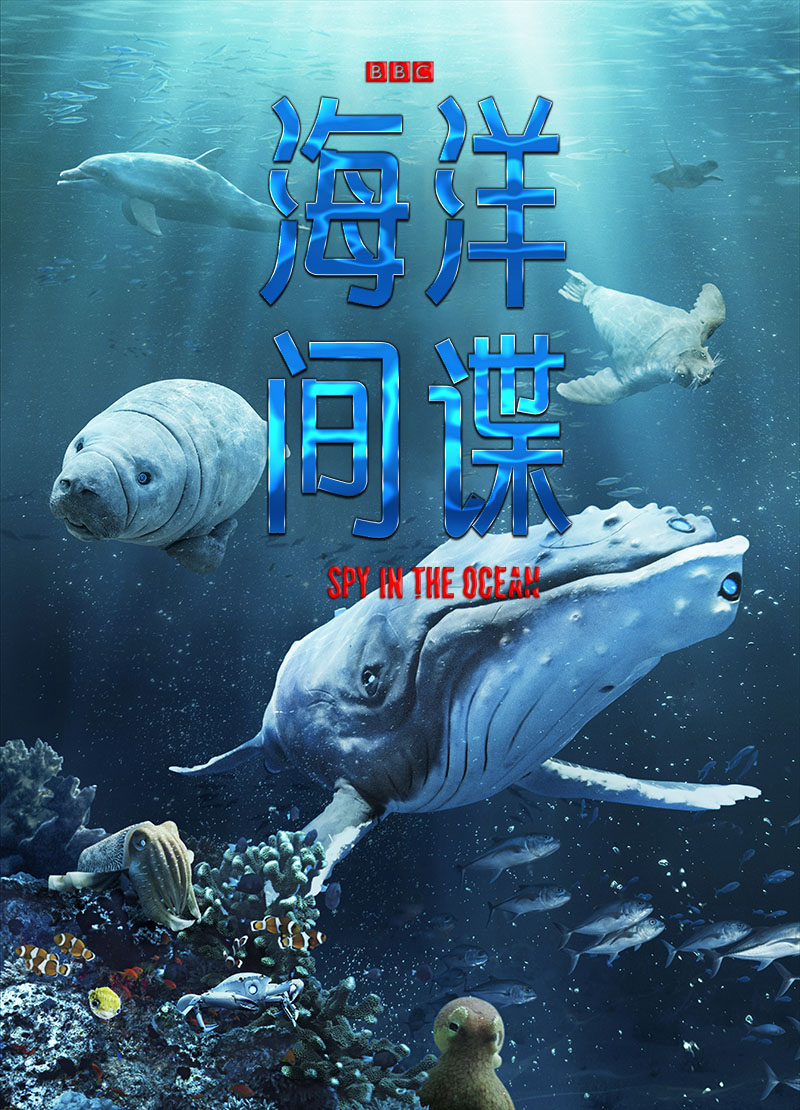 海洋间谍2023（全4集）必看BBC间谍生物系列【附：荒野间谍1+2】（中字）-剧集资源论坛-交流广场-优选资源网_1