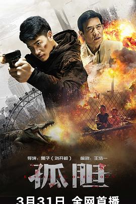 孤胆(2024)动作犯罪电影-惊心动魄的跨国营救[罗立群魏璐李子雄芦鑫]-电影资源论坛-交流广场-优选资源网_1