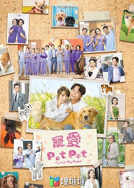 【夸克网盘】宠爱PetPet（2023）【周嘉洛/林夏薇/姜大卫】【1080P】粤语.中字【20集已完结】-剧集资源论坛-交流广场-优选资源网_1