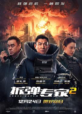 【夸克网盘】拆弹专家2（2020）【刘德华/刘青云/倪妮】【4K.HDR】国语.中字-电影资源论坛-交流广场-优选资源网