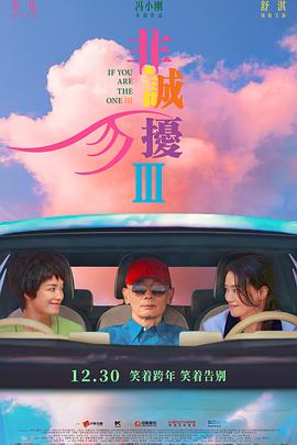 电影《非诚勿扰3》【1080P/4K】【国语】【2023】主演：葛优,舒淇,范伟-电影资源论坛-交流广场-优选资源网_1