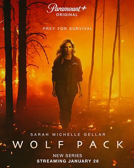 狼群WolfPack(2023)全8集中英双字剧情恐怖奇幻-剧集资源论坛-交流广场-优选资源网_1