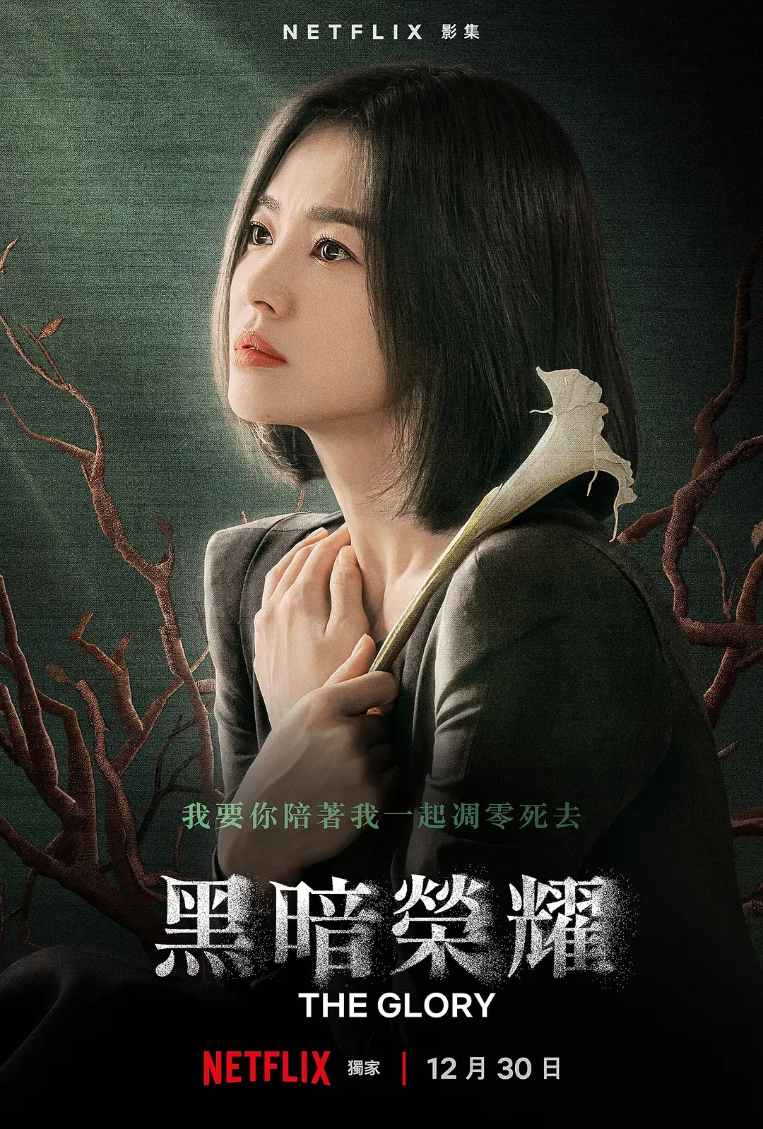 黑暗荣耀(两季)(2023)【16集全】【4K.DV.HDR】【杜比视界】【韩英双语】【内封简繁】-剧集资源论坛-交流广场-优选资源网_1