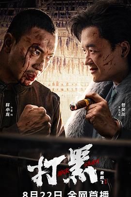 2024电影《打黑》4k+1080-包贝尔/释小龙-动作,犯罪-电影资源论坛-交流广场-优选资源网_1