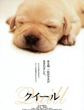 Top221.导盲犬小Q.Quill.2004.DVD.1080p.x265.AAC(5.1).3Audios.GREENOTEA.mkv-剧集资源论坛-交流广场-优选资源网_1