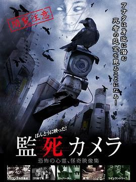 ほんとうに映った！監死カメラ2012中文字幕（街头巷尾随处可见监控摄像头）-优选资源网_1