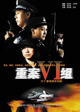 经典高分剧《重案六组》（2001-2011）S01-S04季全集1080P国语中字148.3G-优选资源网_1